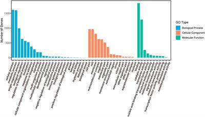 Development and Application of EST-SSR Markers in Cephalotaxus oliveri From Transcriptome Sequences